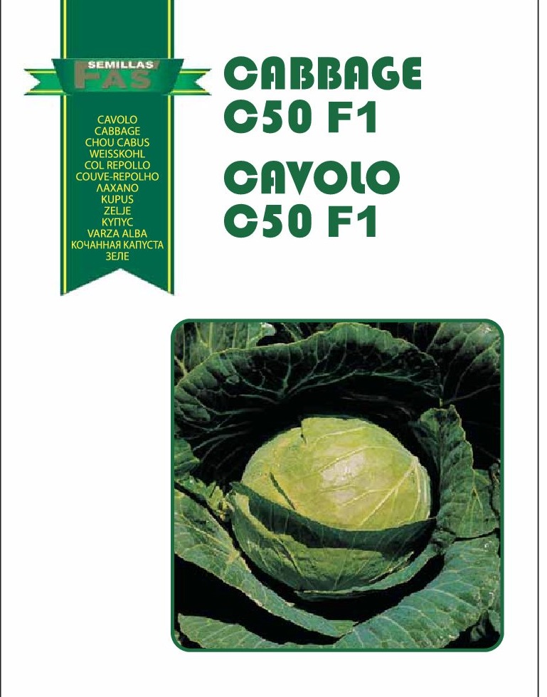 CAVOLO CAPPUCCIO C 50 F.1 HYBRD. 10.000 SEMI